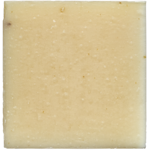 Dr. Squatch® Oatmeal Medium Grit Eucalyptus Soap Perspective: bottom