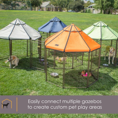 Advantek best sale dog kennel