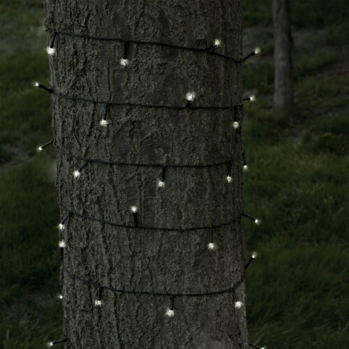 Outdoor Solar LED String Lights - 72 Feet - 200 LED Lights Tree Garden Decor Perspective: bottom