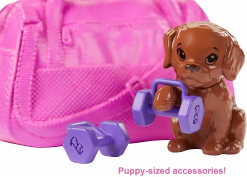 Barbie Fitness Doll Red-Haired with Puppy and 9 Accessories Including Yoga  Mat with Strap, 1 - City Market