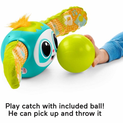 Fisher Price Rollin Rovee Interactive Activity Toy with Music Lights and Learning Content 1 Fry s Food Stores