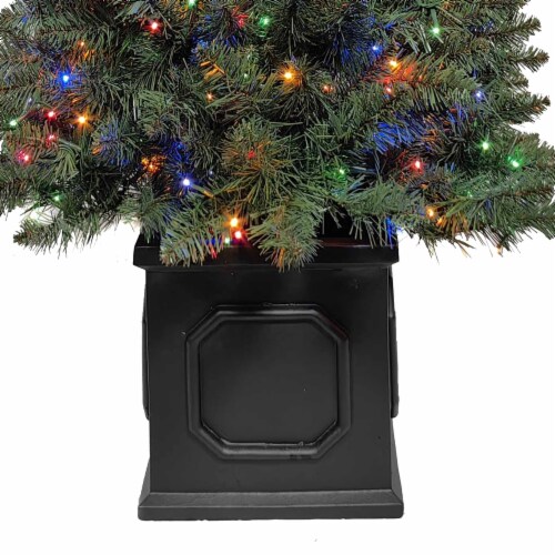Holiday Home Beaufort Fir Potted Tree with Color Changing Cluster LED Lights Perspective: bottom