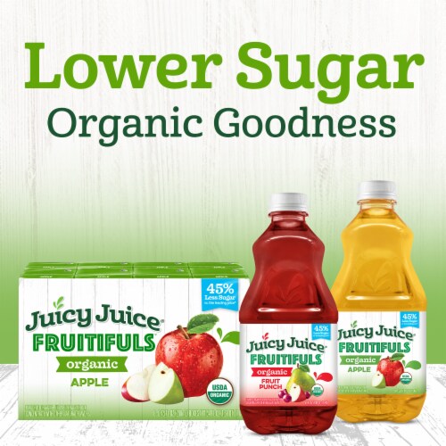 Juicy Juice Fruitifuls Organic Fruit Punch Fruit Juice Perspective: bottom