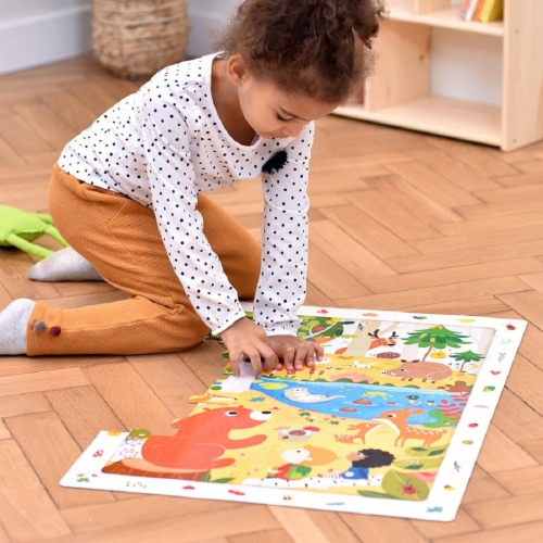 Observation Puzzle Forest Perspective: bottom