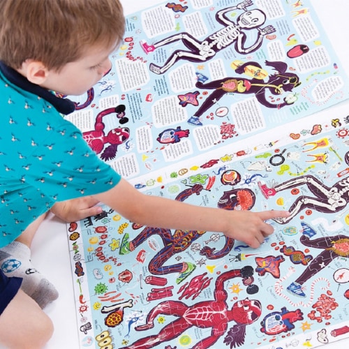 Observation Puzzle My Body Perspective: bottom