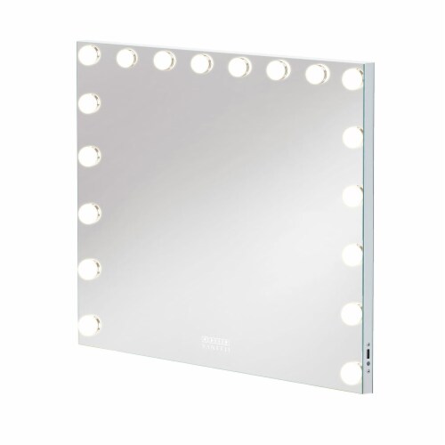 Hollywood pro vanity mirror hotsell