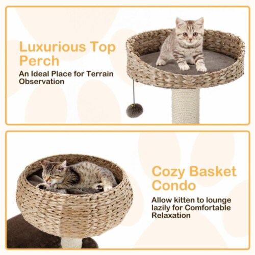 Hivvago 41 Inch Rattan Cat Tree with Napping Perch-Beige Perspective: bottom