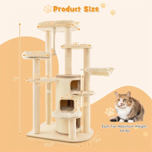 Multi cat condo 2025