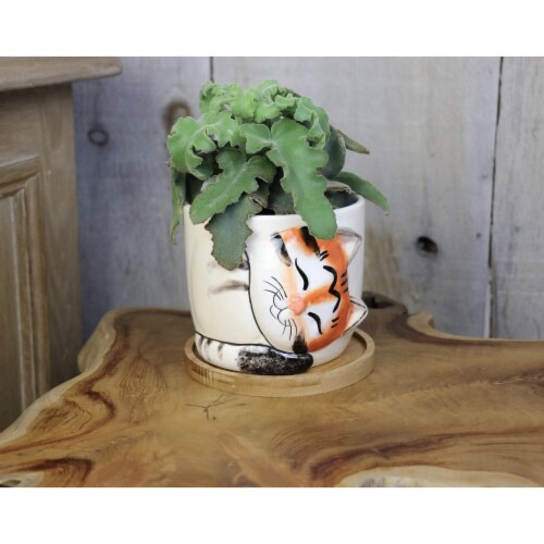 Window Garden Large Oreo Cat Planter for Indoor Plants & Flowers Perspective: bottom