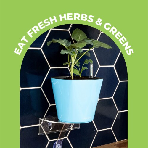 Window Garden Window Shelf & Watering Planter Bundle - Veg Ledge & Aquaphoric Kit Perspective: bottom