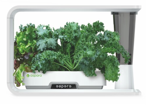 Aspara Blue Curled Kale Seed Capsule Kit Perspective: bottom