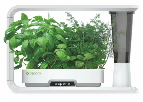 Aspara Herb Seed Capsule Kit Perspective: bottom