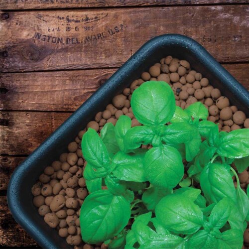GROW T GMC10L Hydroponic 100 Natural Clay Pebbles .35 Cubic Feet 10 Liter Bag 1 Piece Metro Market