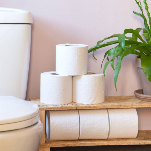 Serious Tissues, Carbon Neutral Toilet Roll Perspective: bottom