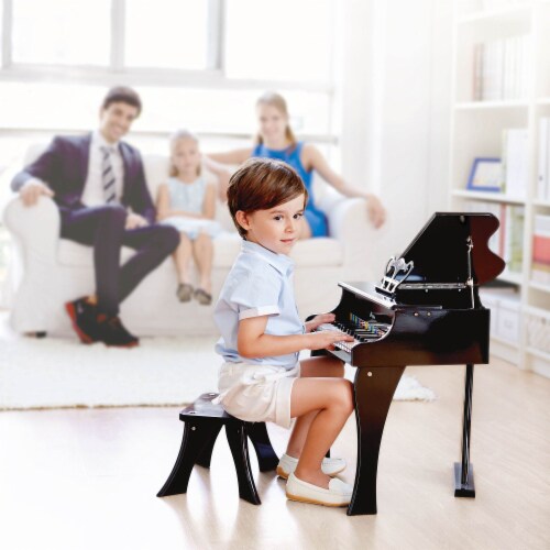 Hape Toys Early Melodies Black Wooden Happy Grand Piano for Toddlers Children 1 Piece Fry s Food Stores