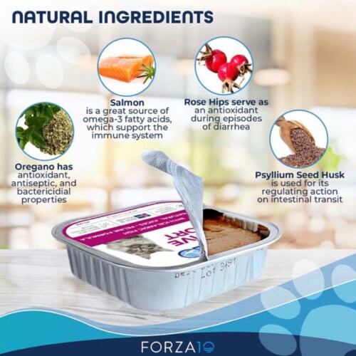 FORZA 10 Active-Wet CAT INTESTINAL Fish 3.5 Oz. Pack of 32 FORZA 10 Active-Wet CAT INTESTINAL Fish 3.5 Oz. Pack of 32