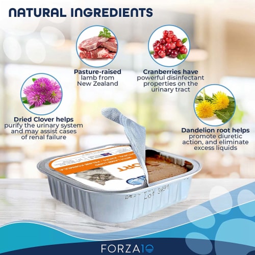 Forza10 Nutraceutic Actiwet Renal Support Wet Cat Food 3.5 oz Case of 32 1 Kroger