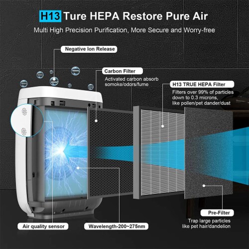Zigma air cheap purifier reviews