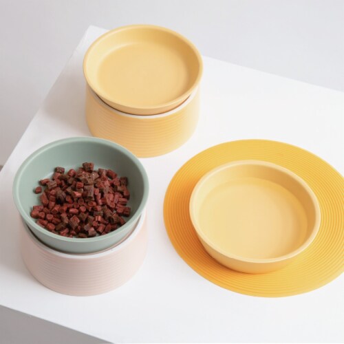 Premium Macaron Medium and Large Mint Cat Bowls Perspective: bottom