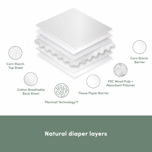 Ecoriginals Plant Based 3 Packs of Pants + 3 Packs of Water Wipes | Walker Size 5 | Perspective: bottom