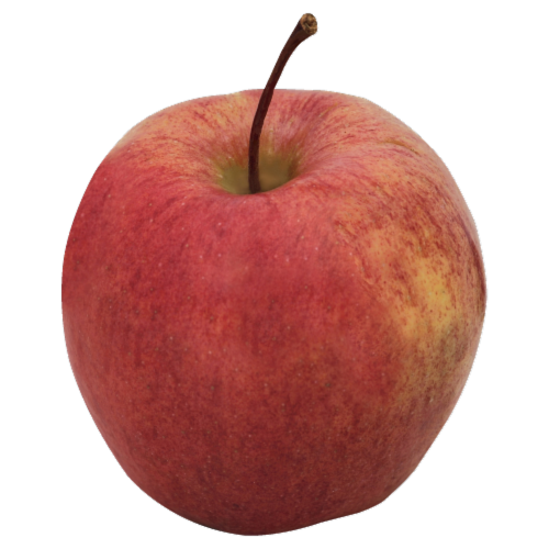 Cameo Apple Perspective: front