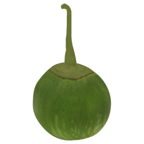 Thai Eggplant Perspective: front