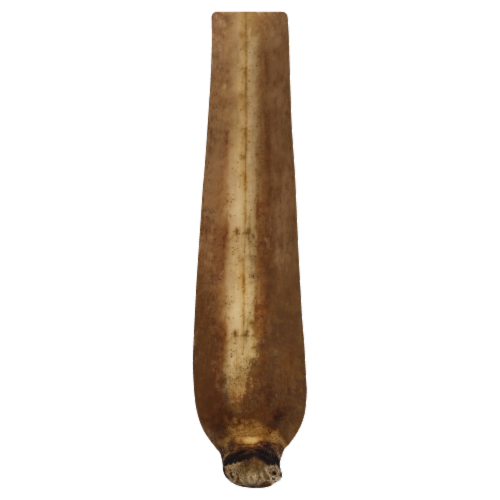 Lotus Root Perspective: front