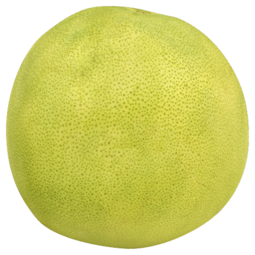 Pummelo Grapefruit Perspective: front