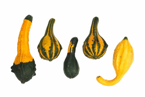 Ornamental Gourds Perspective: front