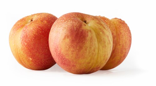 Mottled Plumcot Perspective: front
