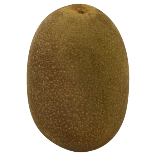 Golden New Zealand Kiwi Perspective: front