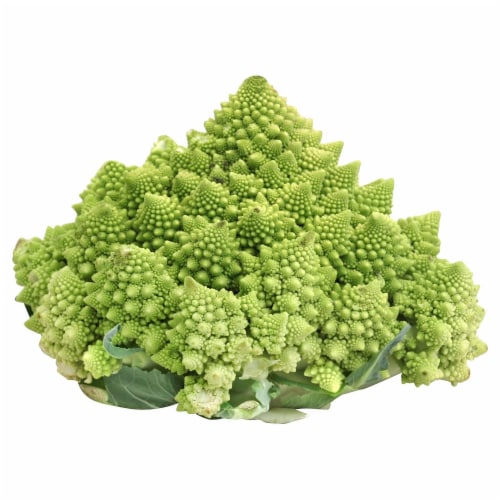 Romanesco Broccoli Perspective: front