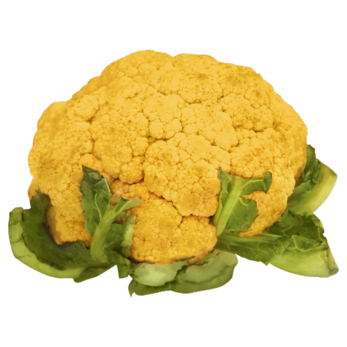 Orange Cauliflower Perspective: front