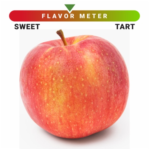 Large Evercrisp Apple - Each Perspective: front