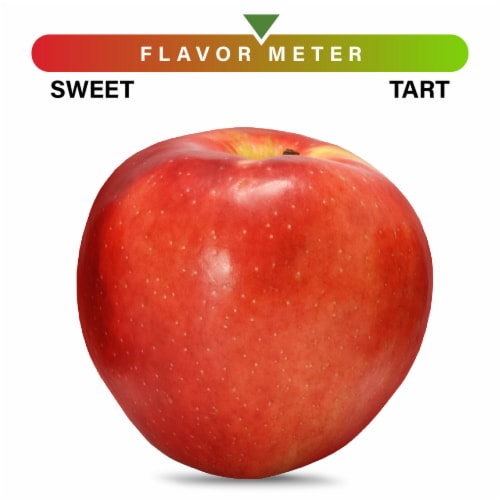 Large SweeTango Apple - Each Perspective: front