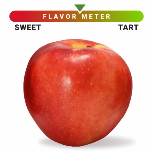 Large SweeTango Apple - Each Perspective: front