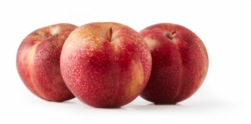 Fresh Red Plumcot Perspective: front