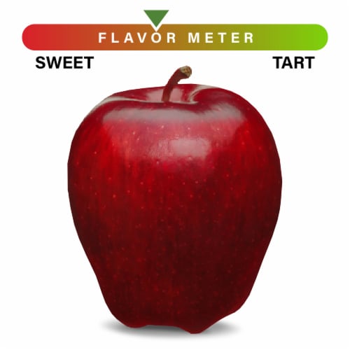 Large Red Delicious Apple - Each Perspective: front