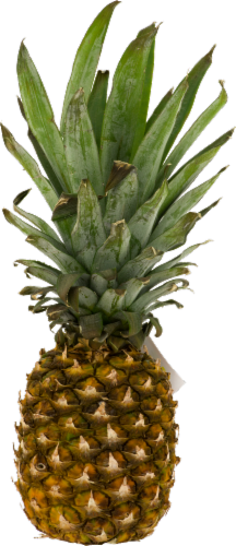 Small Pineapple Perspective: front