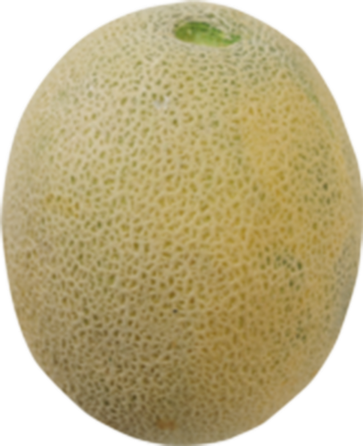 Small Cantaloupe Perspective: front