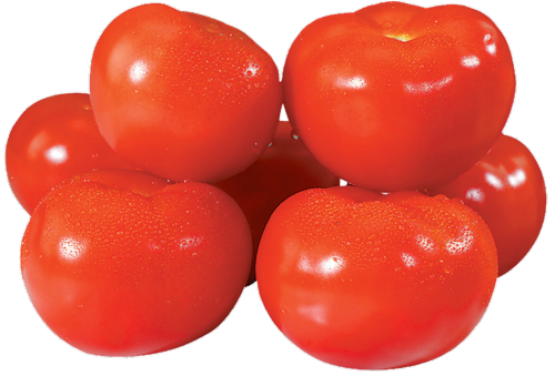 Fresh Red Tomato Perspective: front
