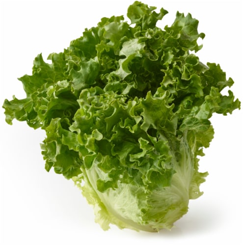 Green Leaf Lettuce, 1 ct - Kroger