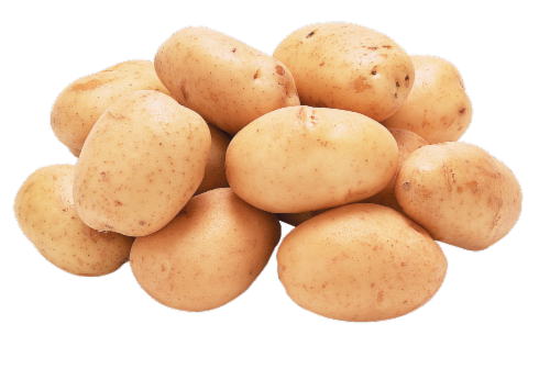 White Potatoes Perspective: front