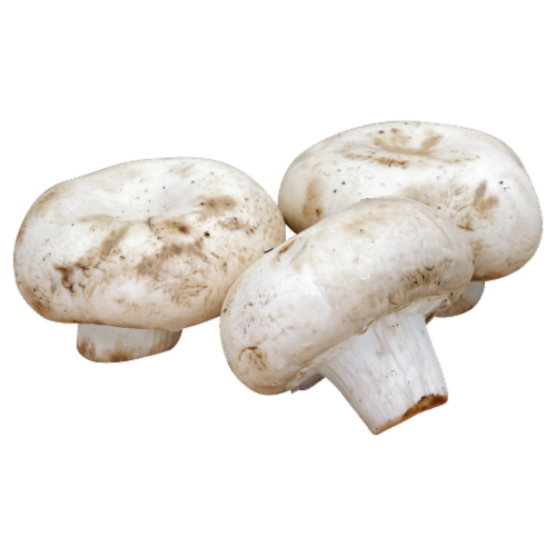 White Mushrooms Perspective: front