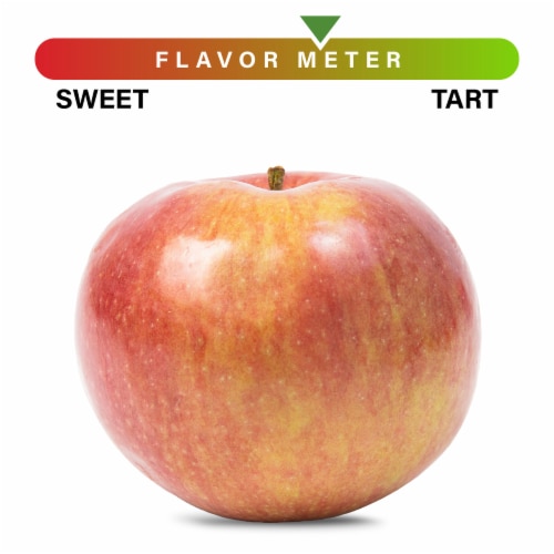 Large McIntosh Apple - Each Perspective: front