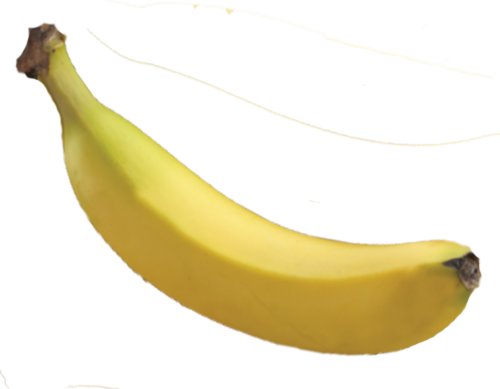 Bananas Perspective: front
