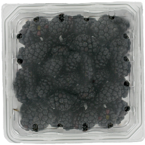 Blackberries