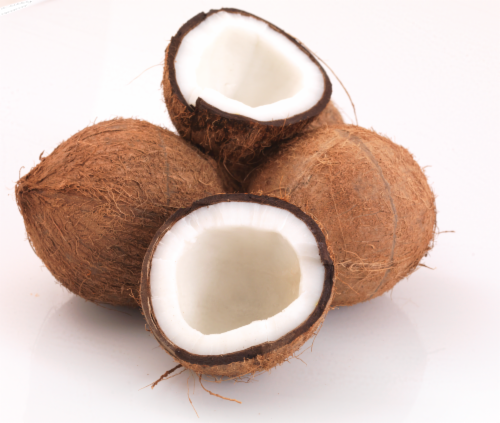 Fresh Brown Coconuts Perspective: front