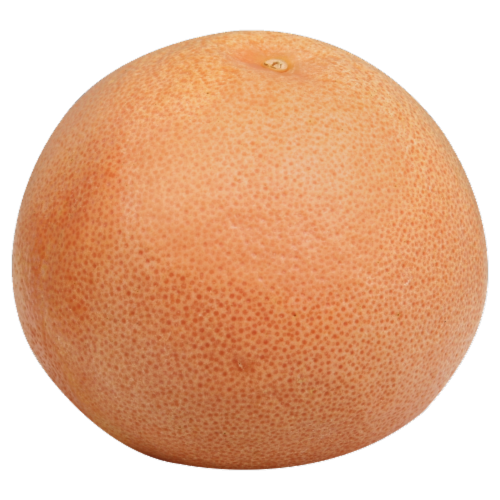 Red Grapefruit Perspective: front