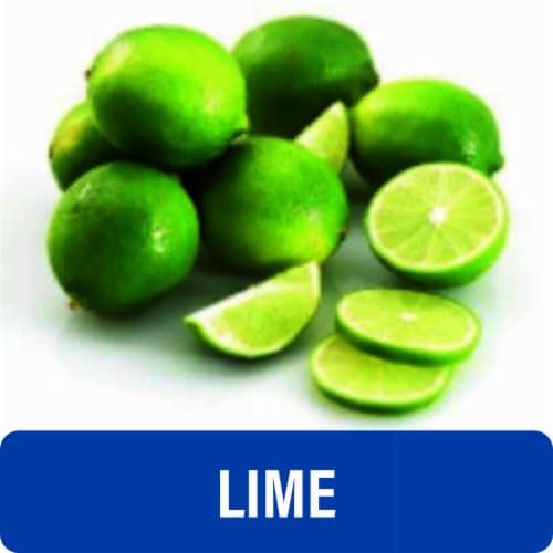 Fresh Key Limes - Each Perspective: front